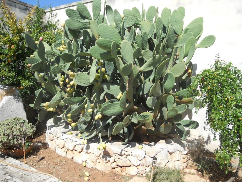 לינה וארוחת בוקר סורבו Le Schiavelle מראה חיצוני תמונה